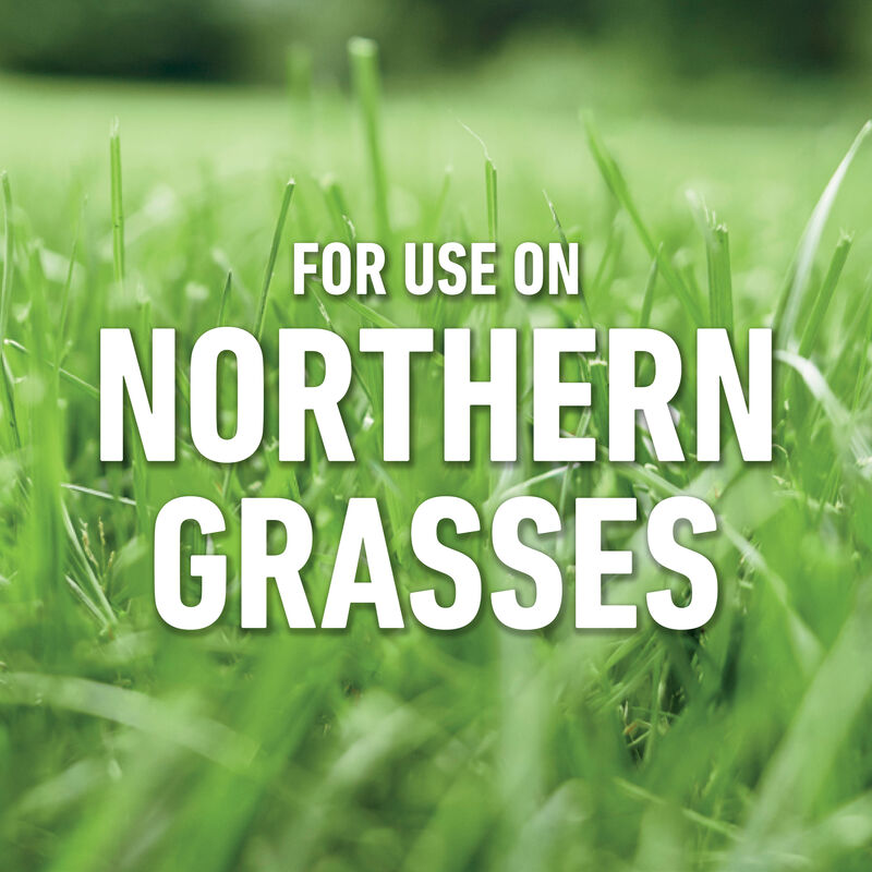 Roundup® For Lawns₁ image number null